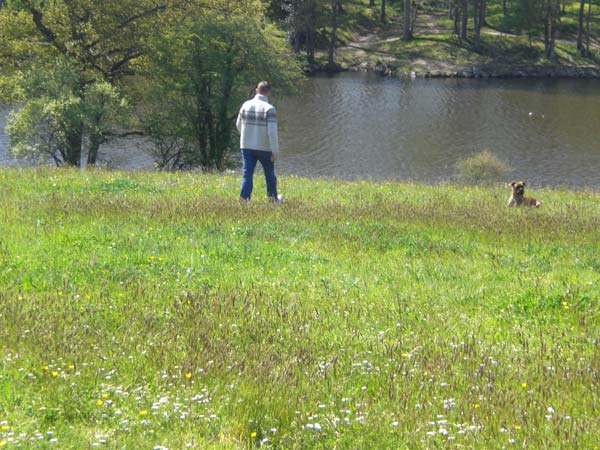 retour au chien